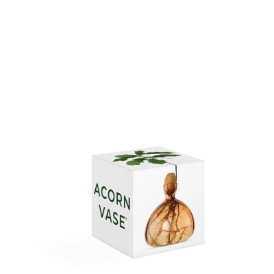 ILEX STUDIO - Vase à gland - Abricot