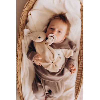 WOOLY ORGANIC - Doudou chien avec attache tétine - Ecru