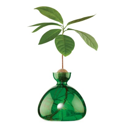 ILEX STUDIO - Vase à avocat - Vert