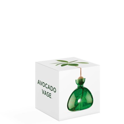 ILEX STUDIO - Vase à avocat - Vert